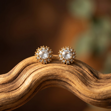 Gold Plated Aurora's Embrace Stud Earrings
